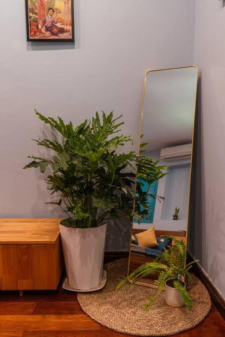 Alley Garden - Ancient garden villa - 250m to West Lake