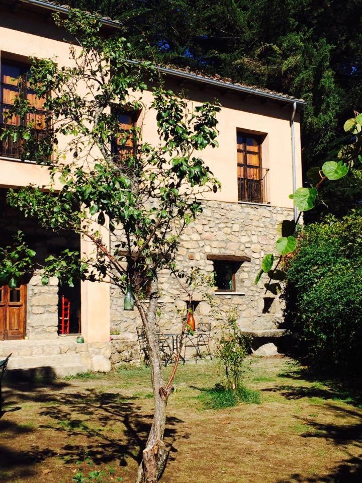 El Jardin del Conde photo 1