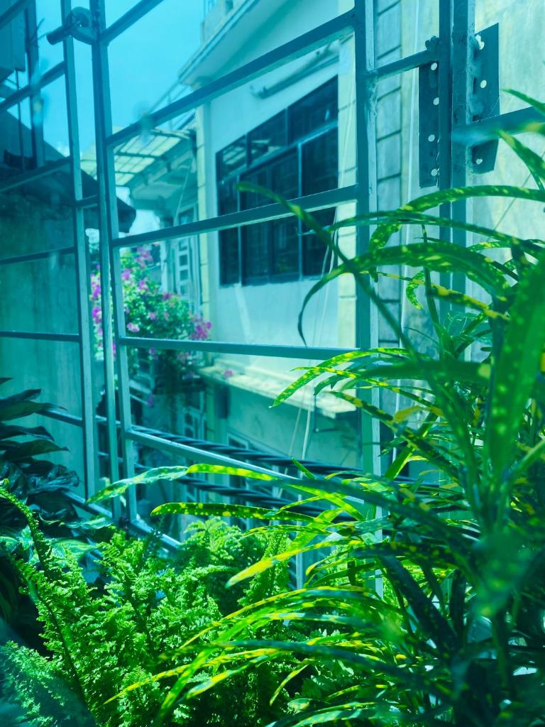 May house 2 Homestay Lo Duc