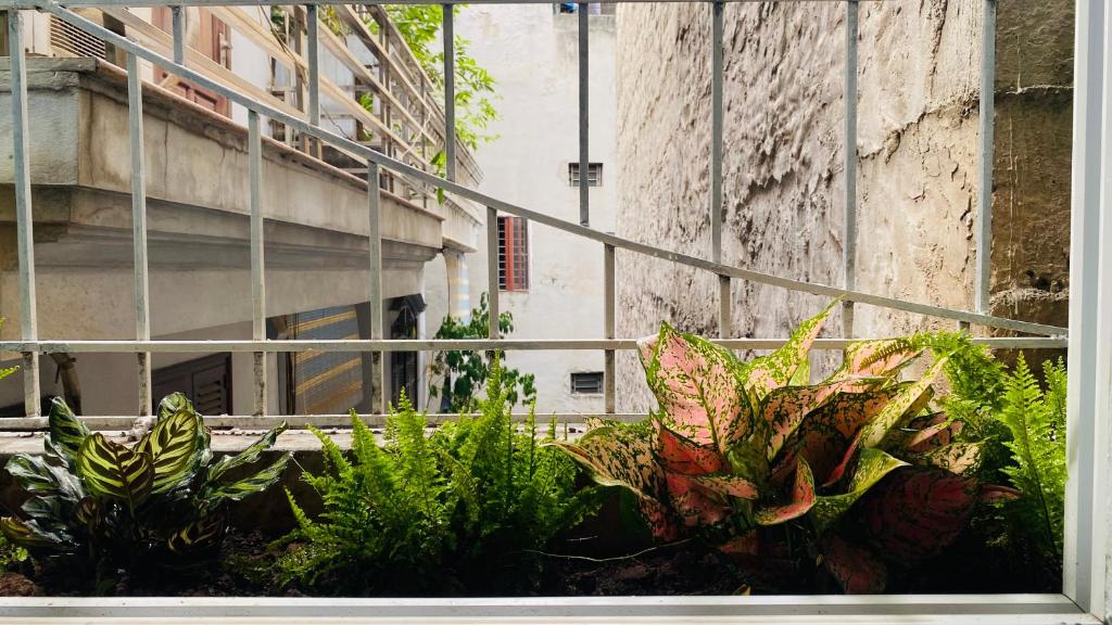 May house 2 Homestay Lo Duc