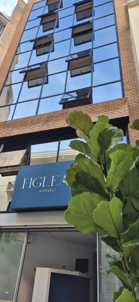 Figleaf Kypseli, أثينس
