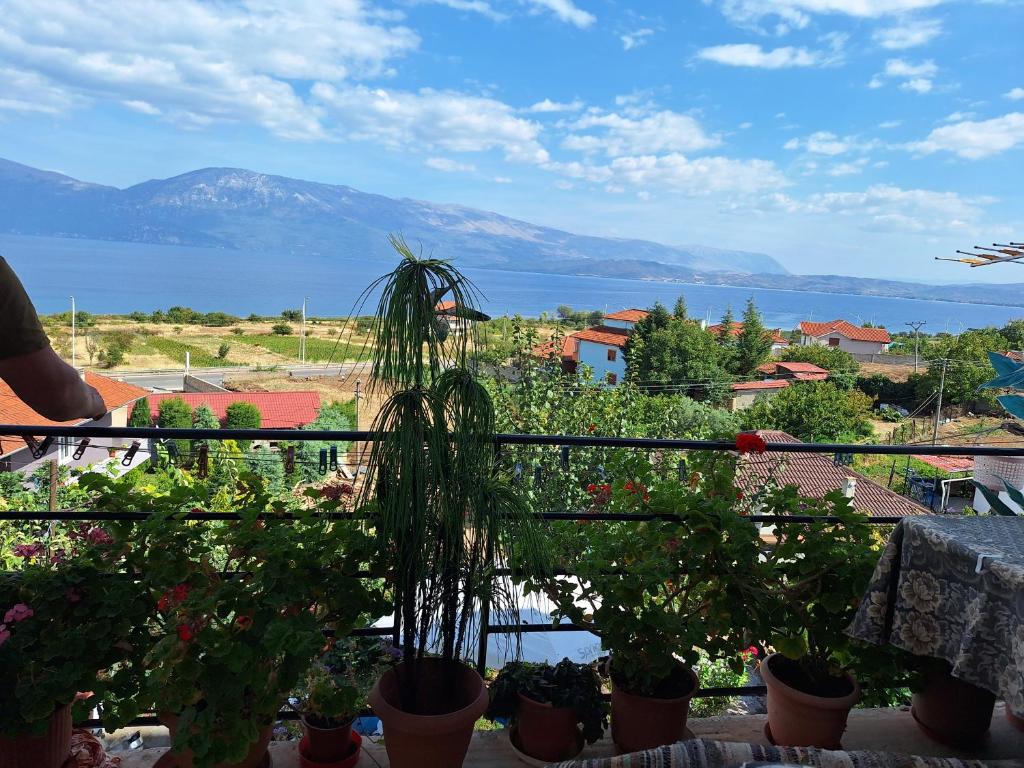 Taku Villa Wonderful view of Lake Ohrid photo 2