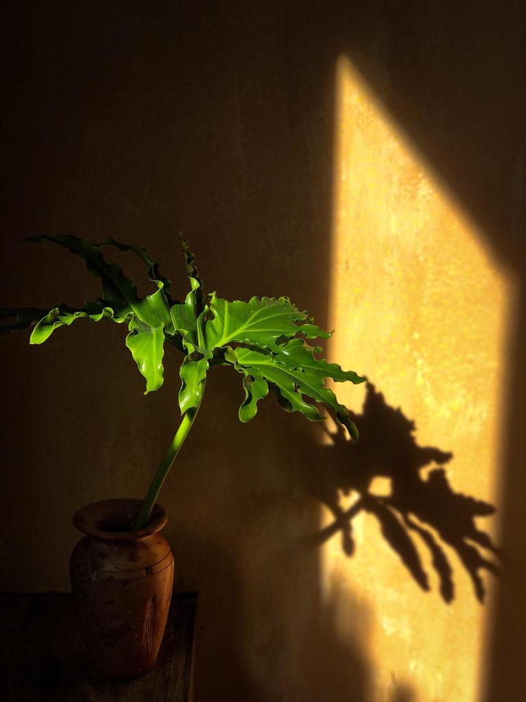 Free public nudes house