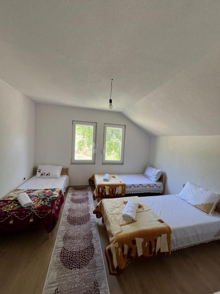 Guest House Egzoni photo 1