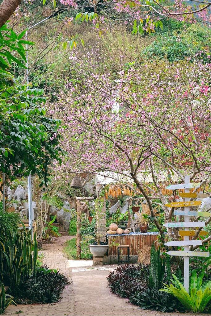 Na's House Mộc Châu Homestay