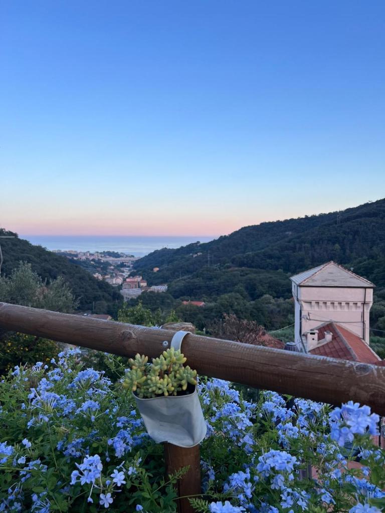 Il RosAle a Celle Ligure