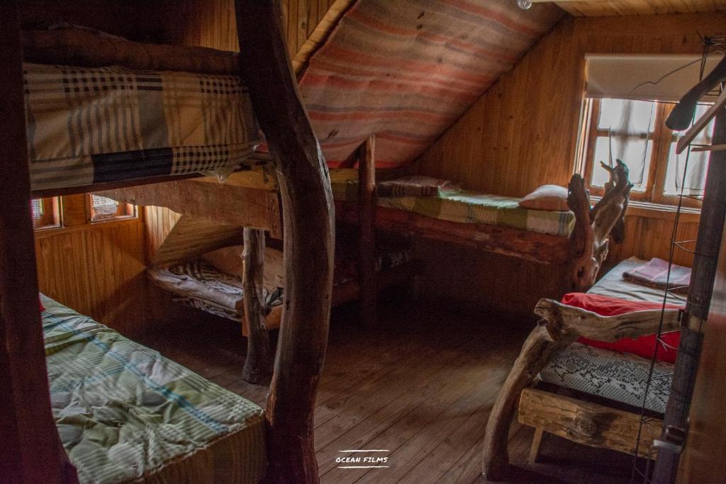 el refugio de caniche photo 3