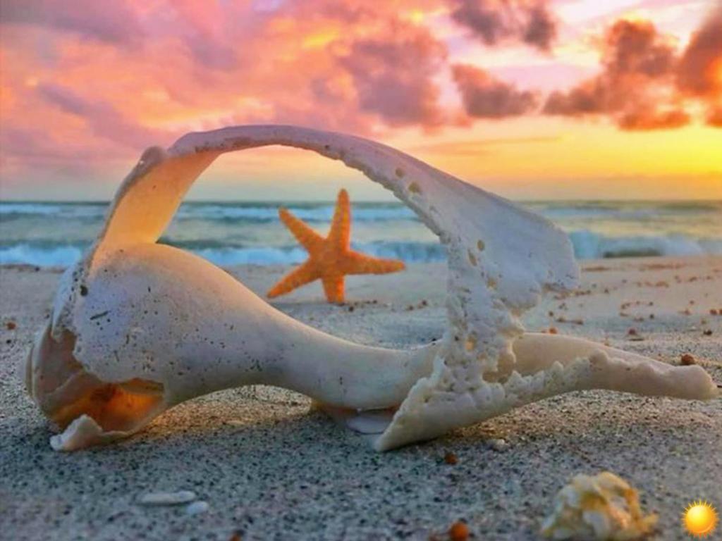 khách sạn THANH NHUNG