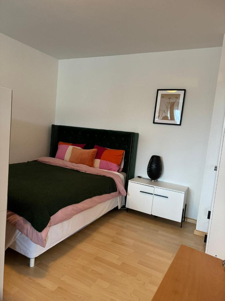 Stylish flat close to Basel with a stunning view - Tap to explore photos