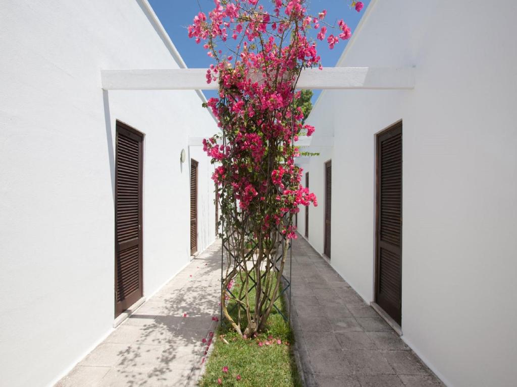 Hotel Solara photo 1