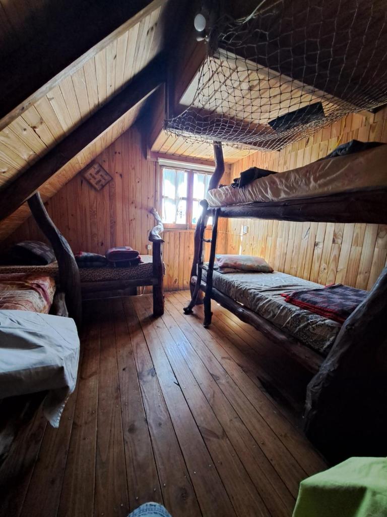 el refugio de caniche photo 2