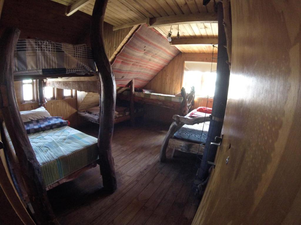 el refugio de caniche photo 4