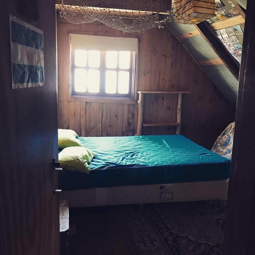 el refugio de caniche photo 1