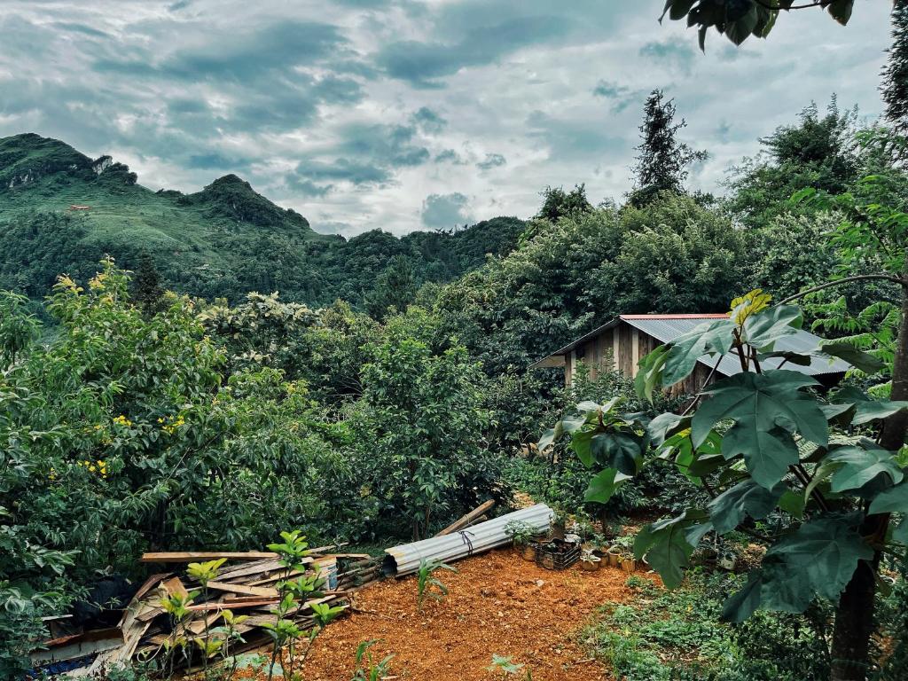 Private House in SaPa centre