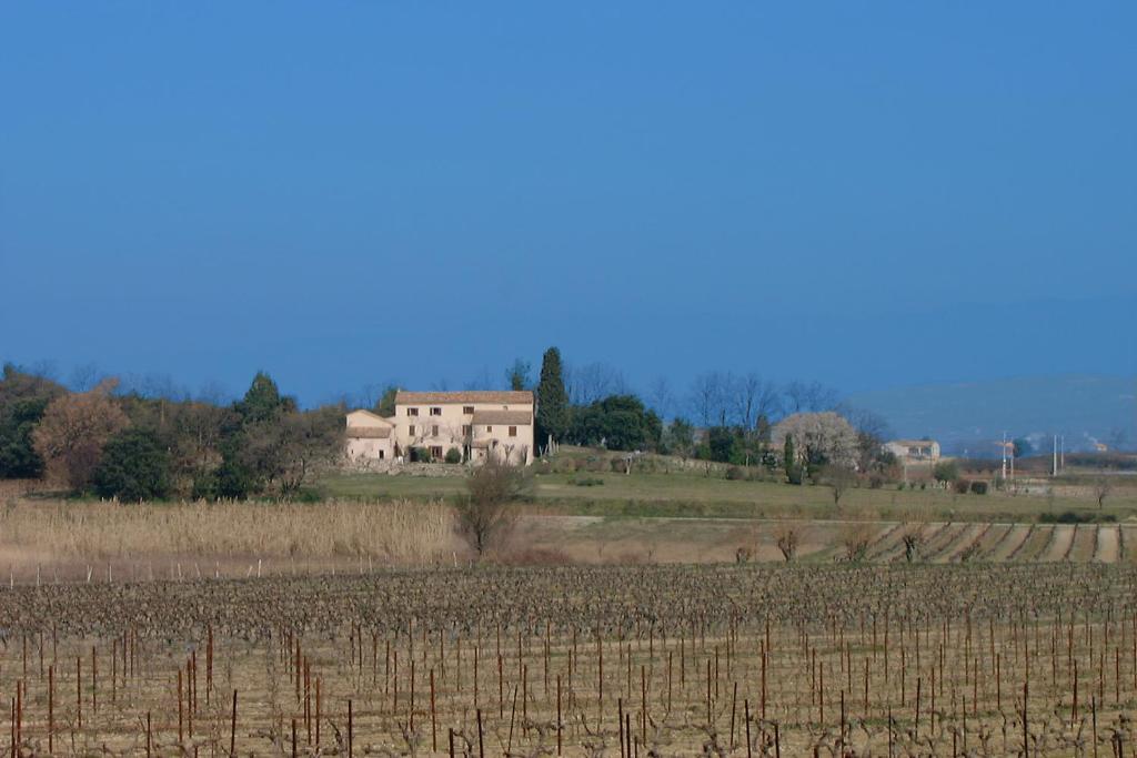 Mas de Regardebon photo 3