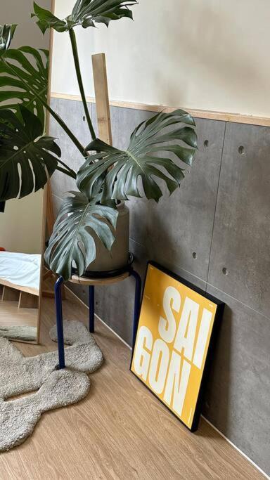 Cozy Studio in heart of District1 Ho Chi Minh