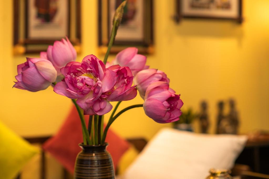 Old Quarter Lux Boutique Railview Retreat