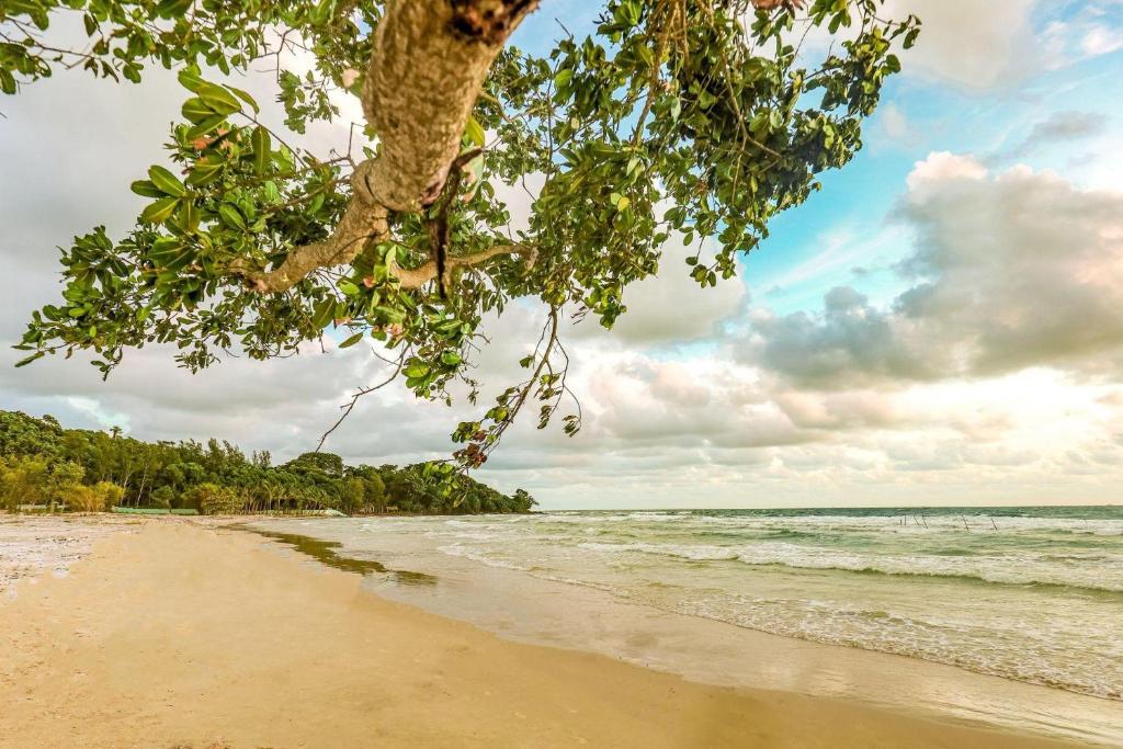 Villages hồ bơi có Bida và Karaoke khu Biệt thự PHƯƠNG NAM