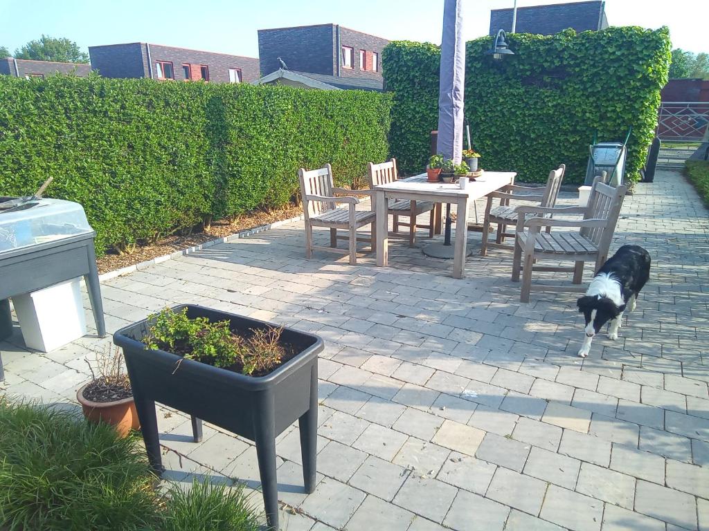 Kamer te huur zonder ontbijt photo 1