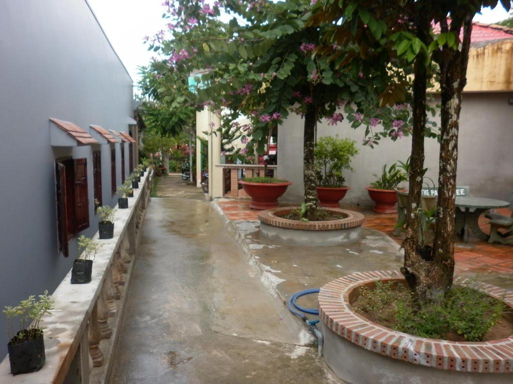 The Palm Tree Guesthouse