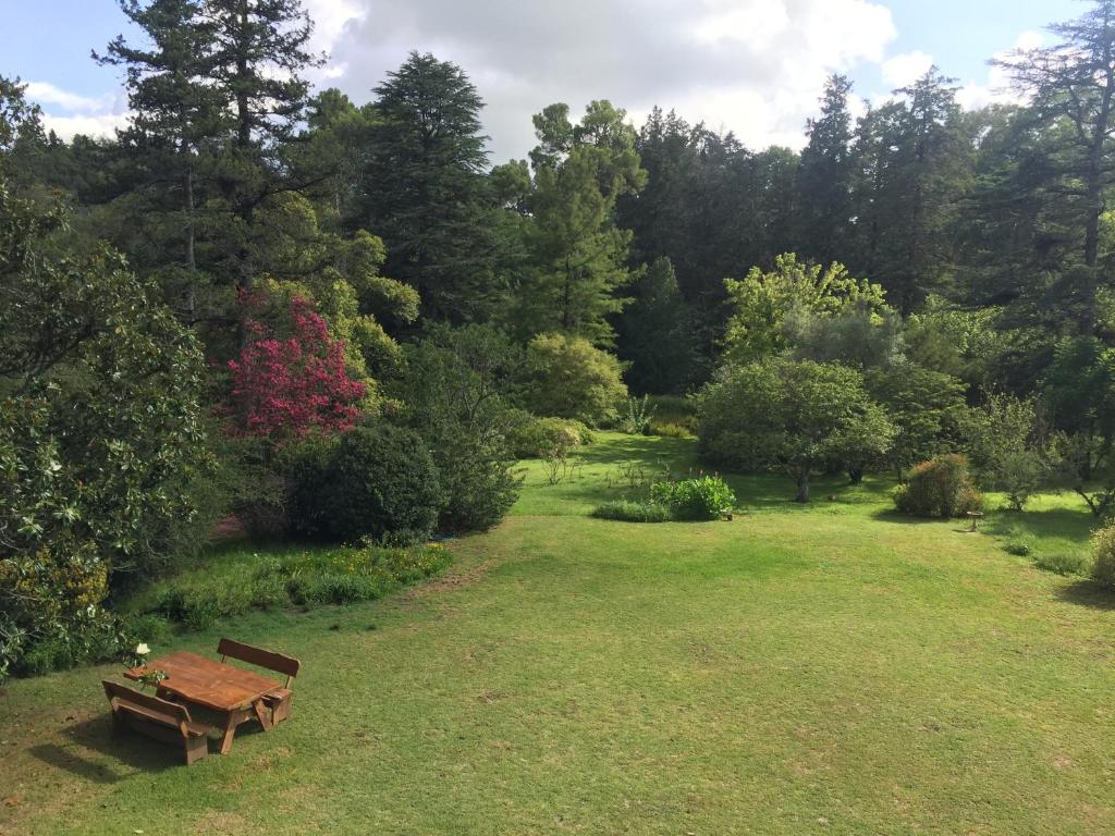 Bon Accord photo 2