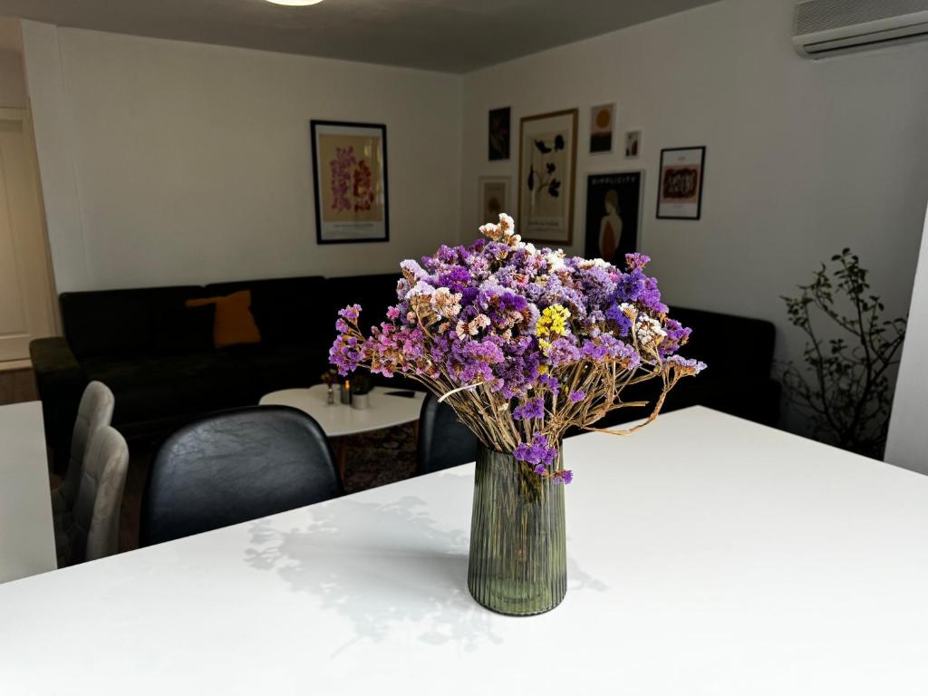 Siera Tirana Apartment photo 1