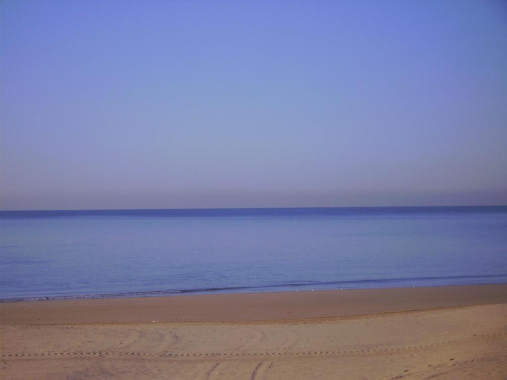 Macavi photo 1