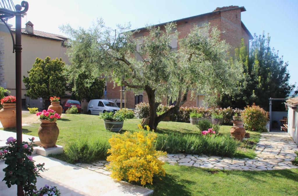 B&B Il Canto del Gallo photo 3