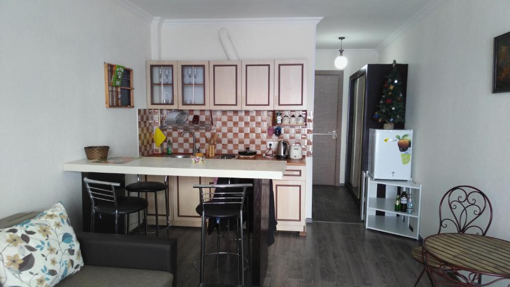 Studio Apartment in New Gudauri 2 photo 3