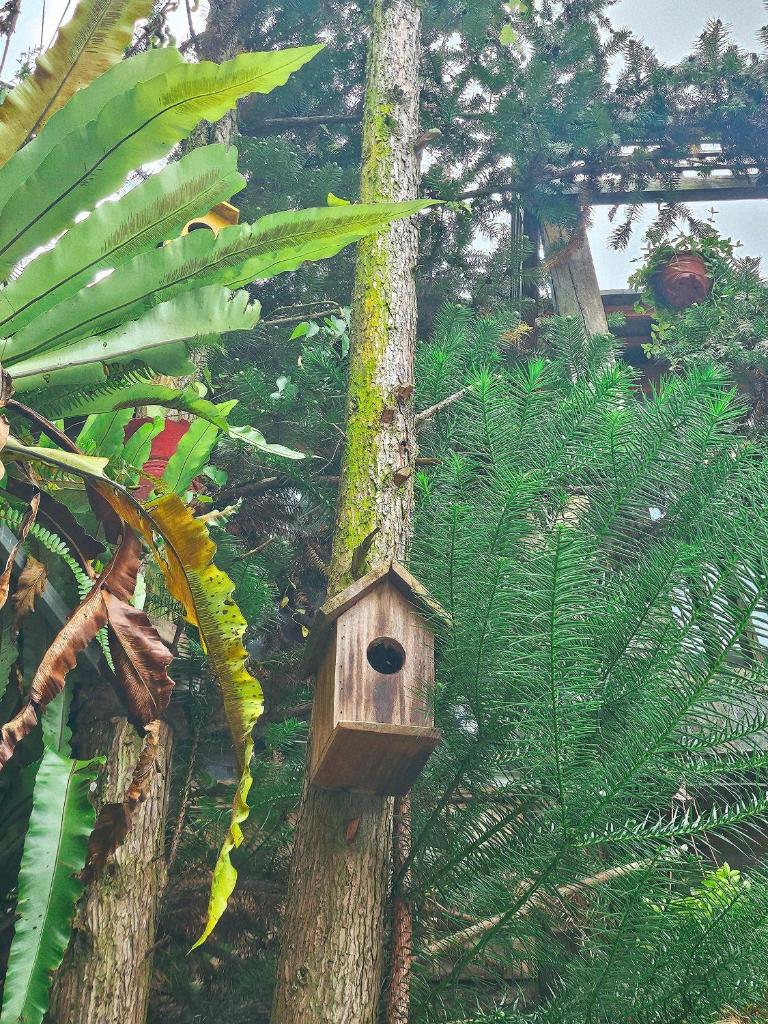 Góc Corner Homestay