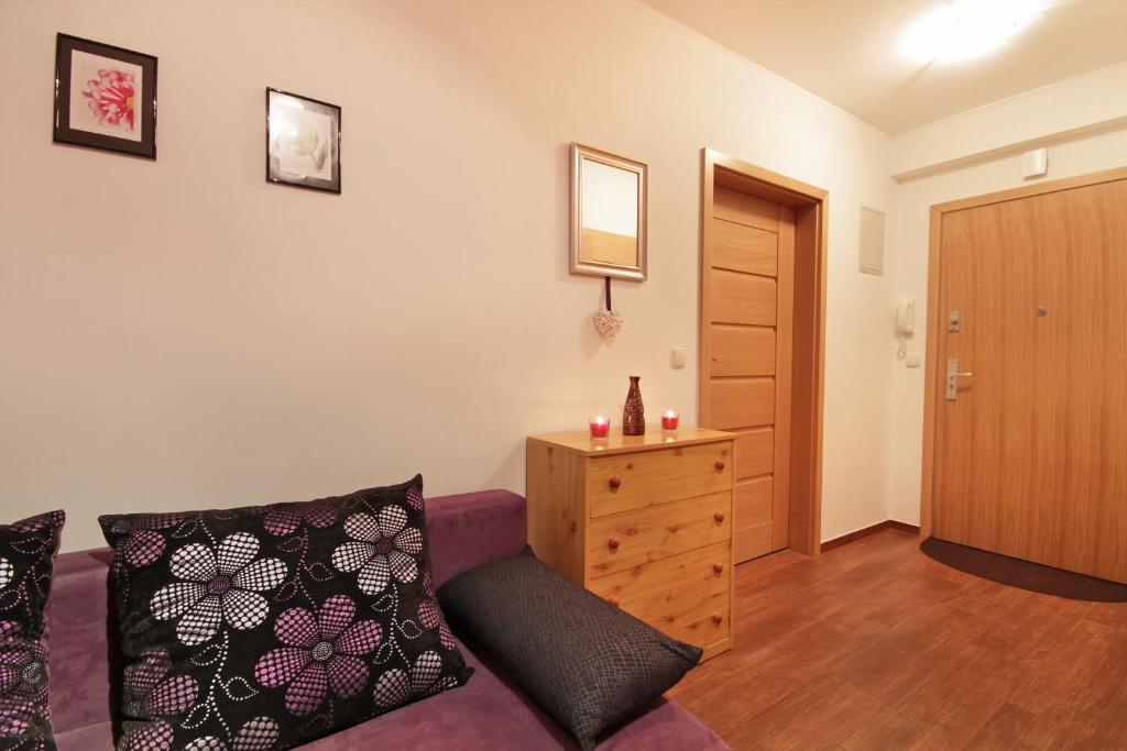 ApartSerwis - Apartment U Sabały Centrum photo 1