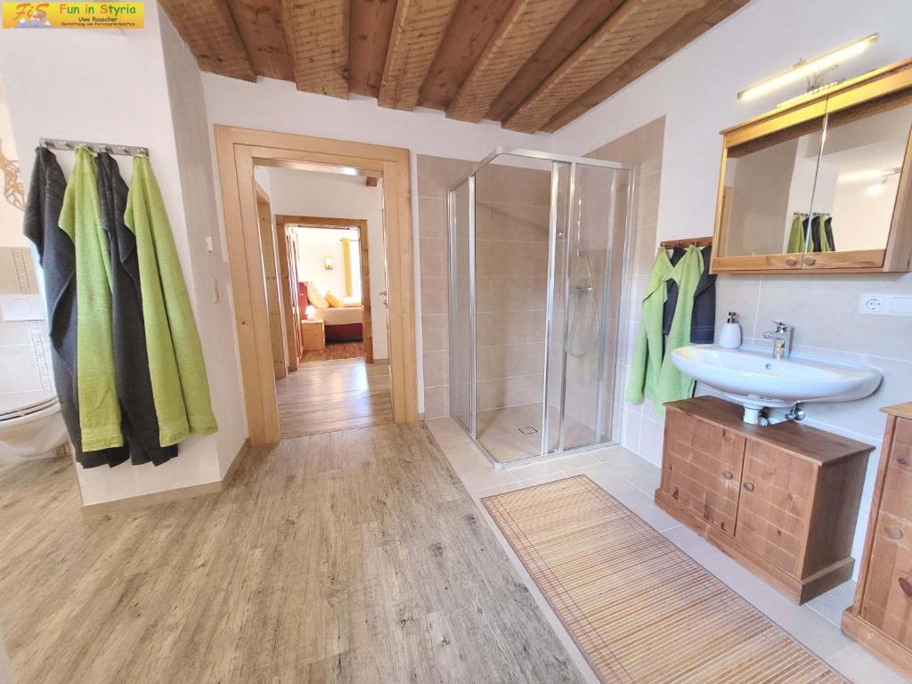 Apartment Bühemirla by FiS - Fun in Styria photo 3
