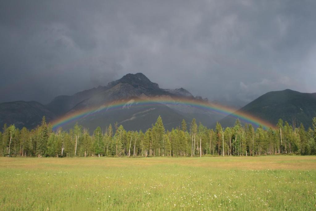 Rocky Mountain Cabins and Home photo 4