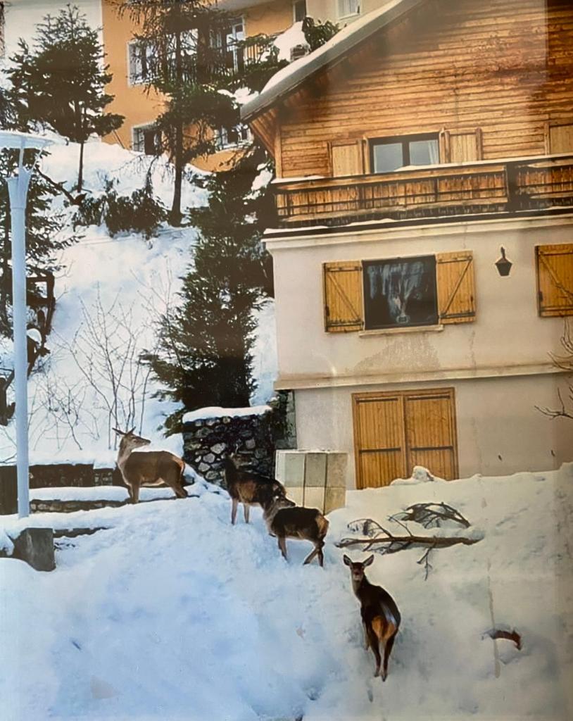 CHALET FAMILIAL AURON - Tap to explore photos
