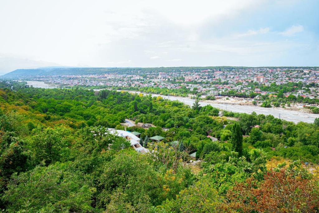 Qachaquch Forest photo 2