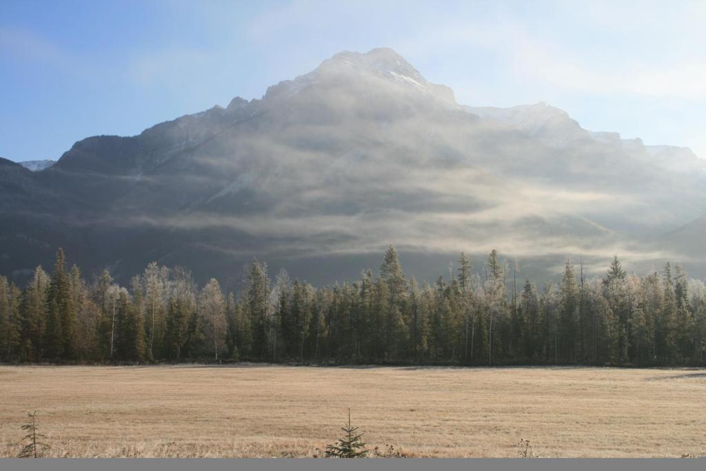 Rocky Mountain Cabins and Home photo 2