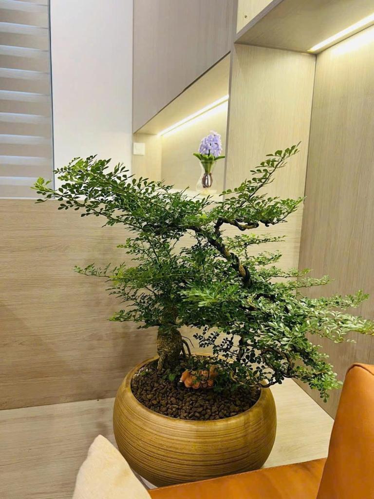 Căn Hộ Masteri cao cấp VinHomes SmartCity