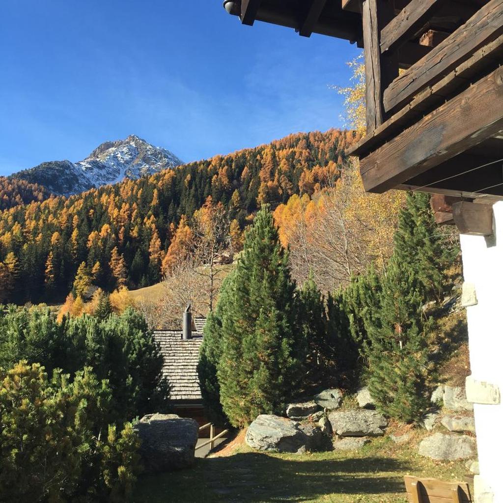 Chalet Annika photo 2