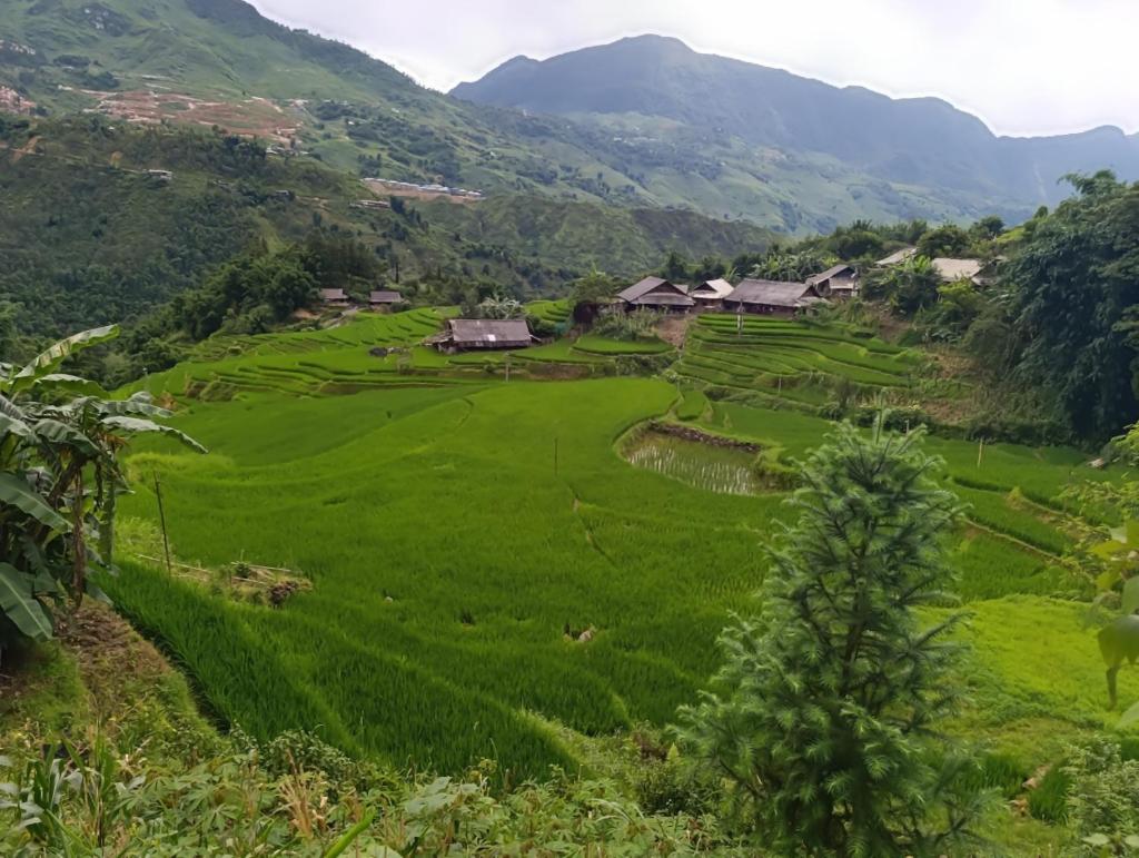 Muong Hoa Eco Homestay & Trekking