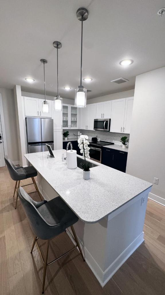 Houston heights 2BD 2Bth Apt image