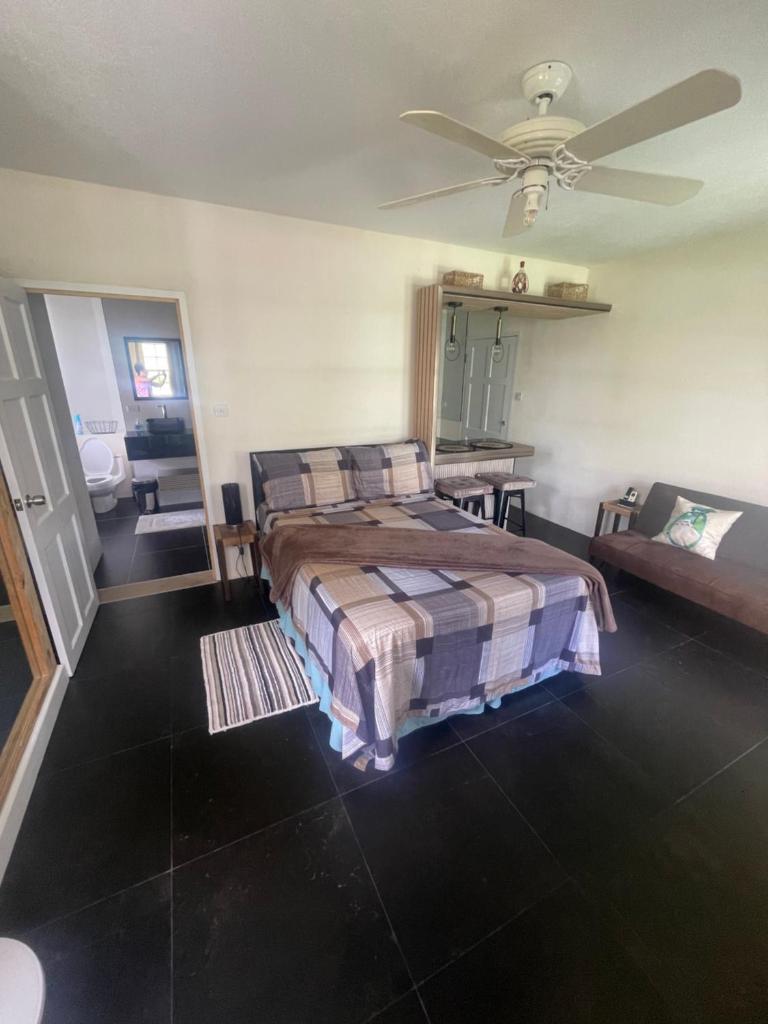 Scarlett Studios 1 - US Embassy Appt 7 mins drive- Lloyd Erskine Sandiford Centre and Ross uni 5 mins drive -Only the 1 night package includes Airport and Embassy roundtrip photo 4