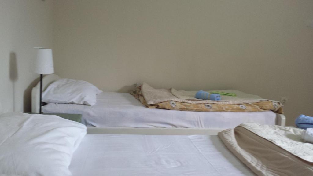 Апартаменты (Апартаменты-студио), Apartments Fortunella