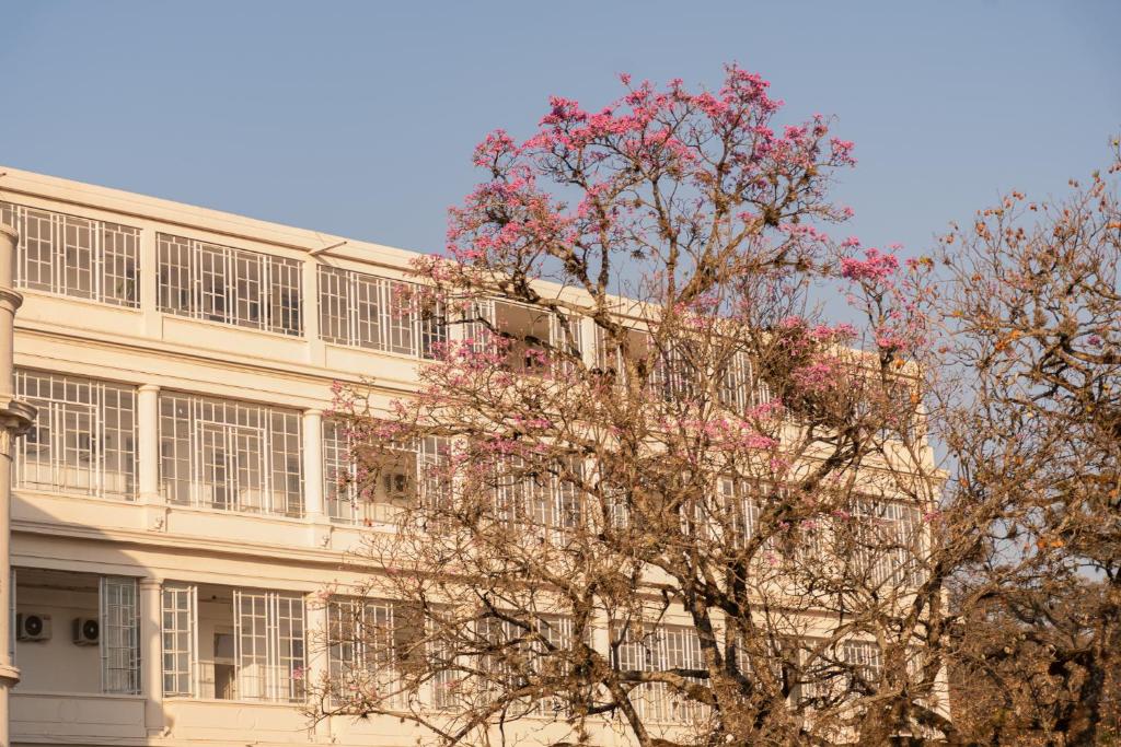 Hotel Termas Rosario de la Frontera photo 3