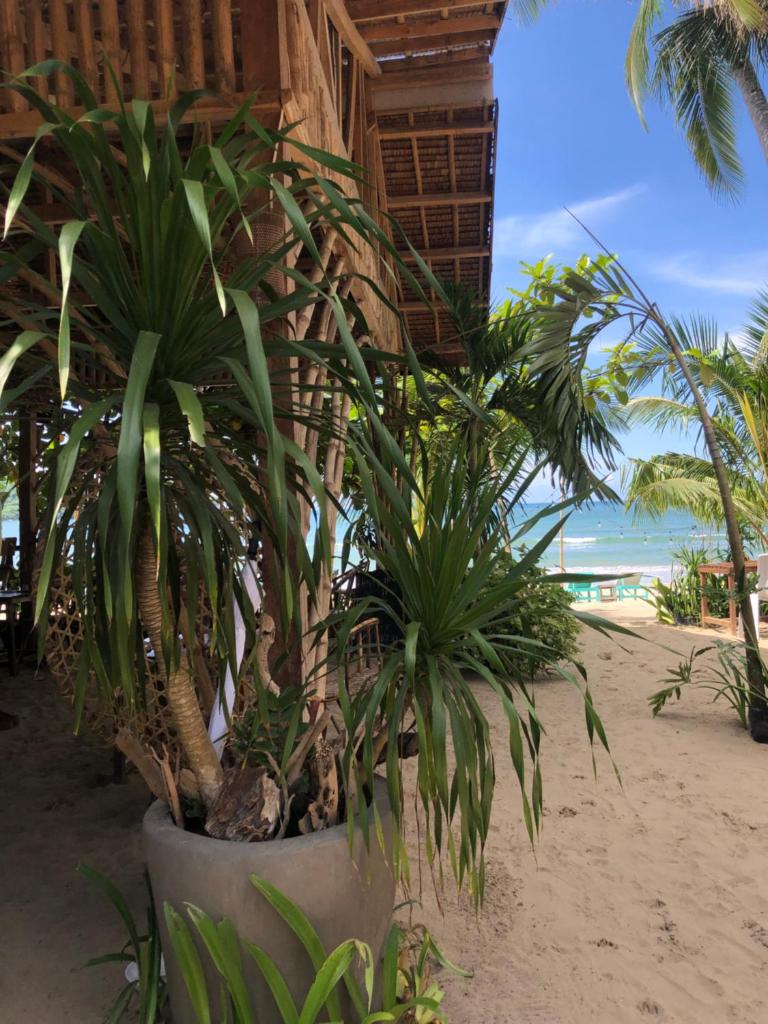 Zhaya's Beach and Cottages - Tap to explore photos