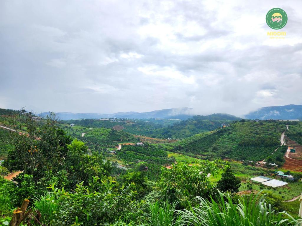 Midori Coffee Farm