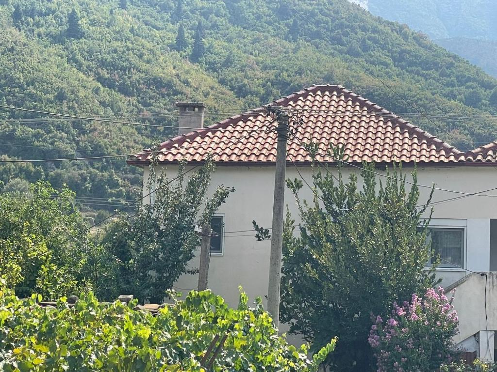 Vacation Home Kondi Ilia photo 1