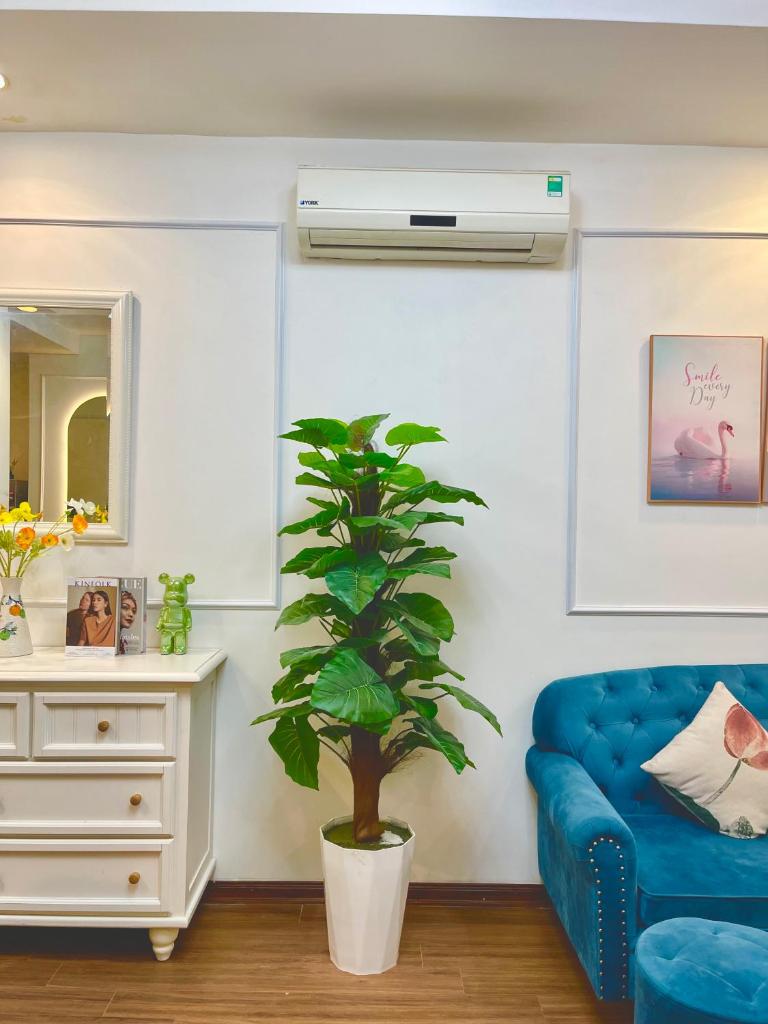 Homestay căn hộ cao cấp Times city Park Hill