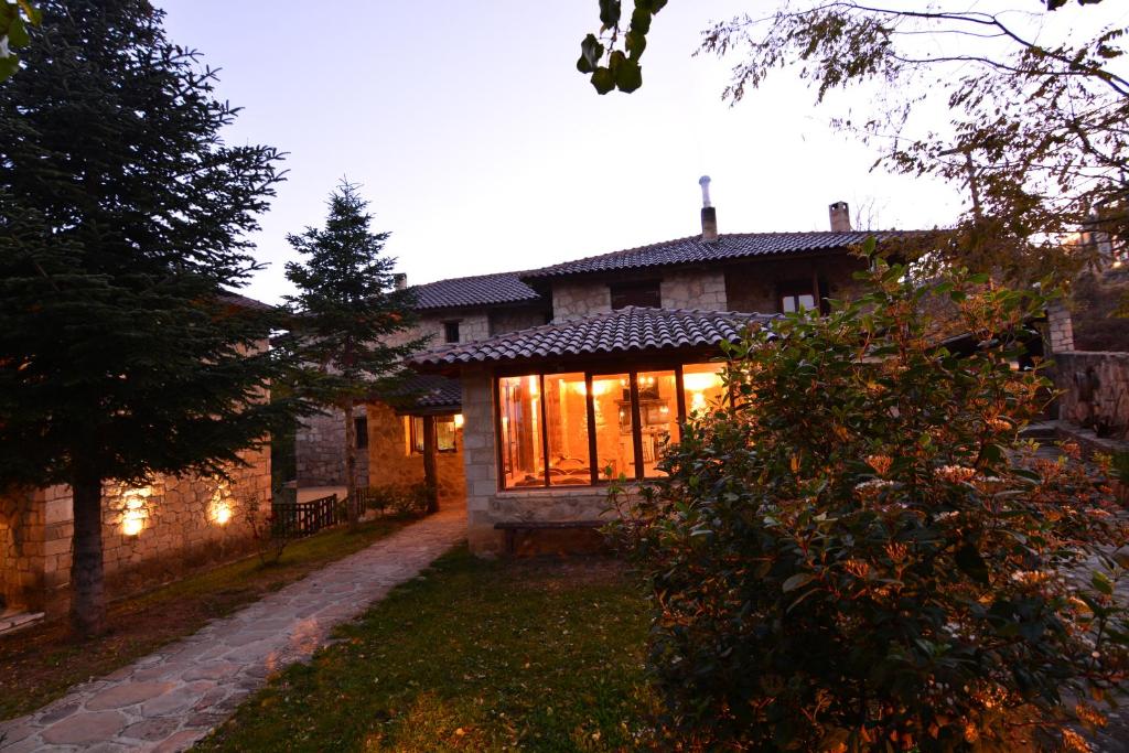 Helydorea zen photo 2