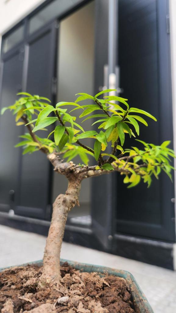 Amazing studio in Hanoi