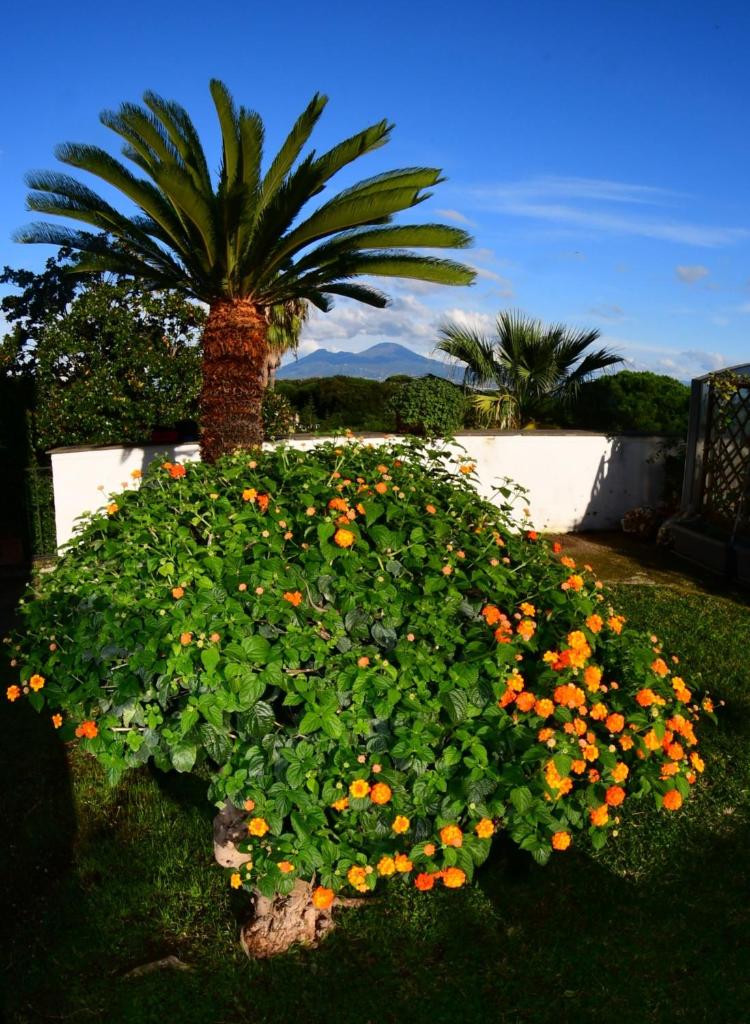Casa Giulia Azzurra Sirena - Tap to explore photos